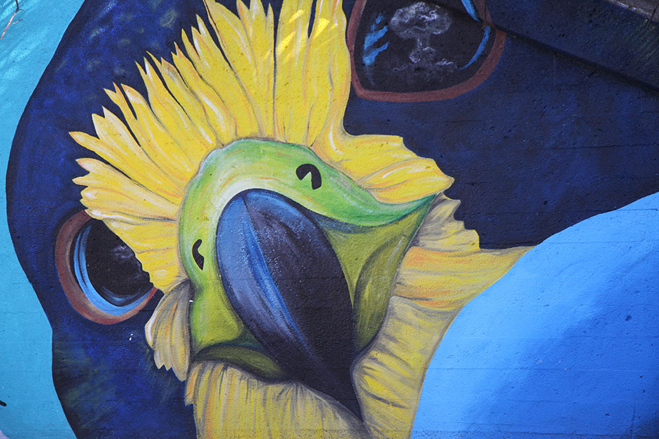 Miles of Murals Bird Mural