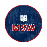 msw icon