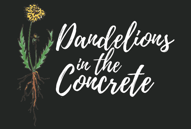 Dandelions in the Concrete